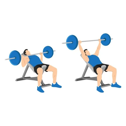 Incline Bench Press